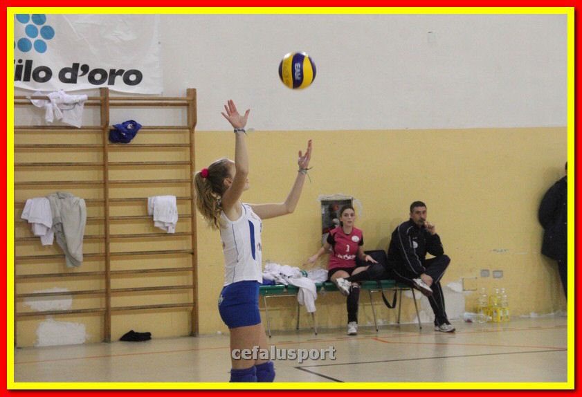140305 Primula 106_tn.jpg